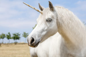 unicorno